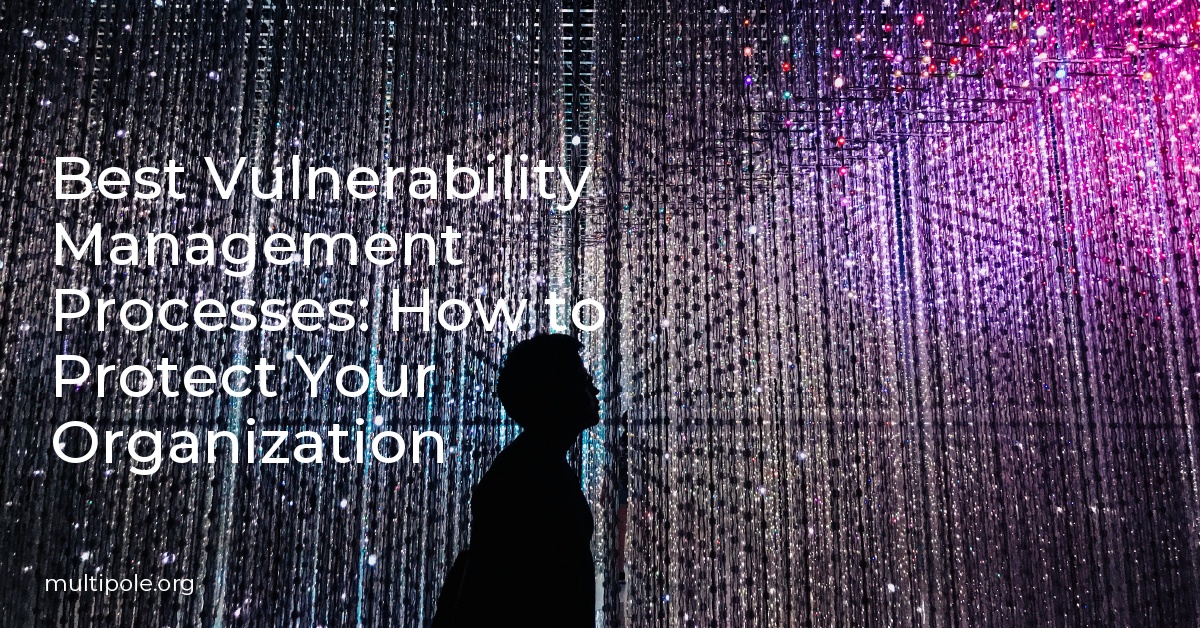 Best Vulnerability Management Processes: How to Protect Your Organization